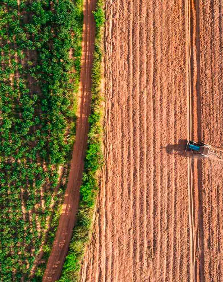 vista aerea dividida de uma plantacao densa de cafe e um solo marrom sulcado sendo preparado com um trator pequeno com rastros de cultivo ilustrando o conceito de terras produtivas em um contexto de desapropriacao de terras produtivas para reforma agraria ou utilidade publica no brasil para fins de acessibilidade